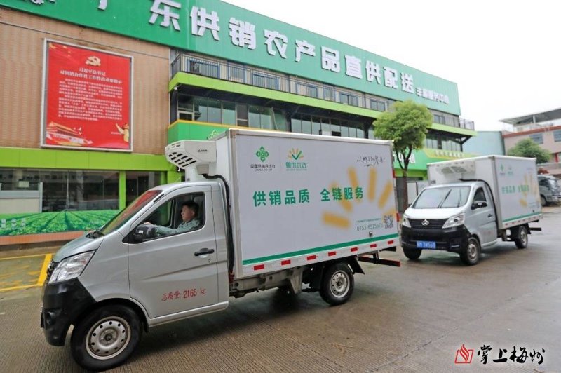 干货坚果:健康生活的美味选择